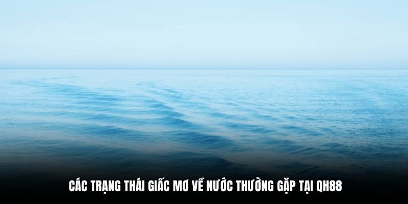 Các trạng thái giấc mơ về nước thường gặp tại QH88