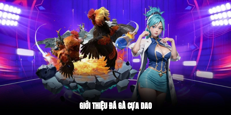 Giới thiệu đá gà cựa dao