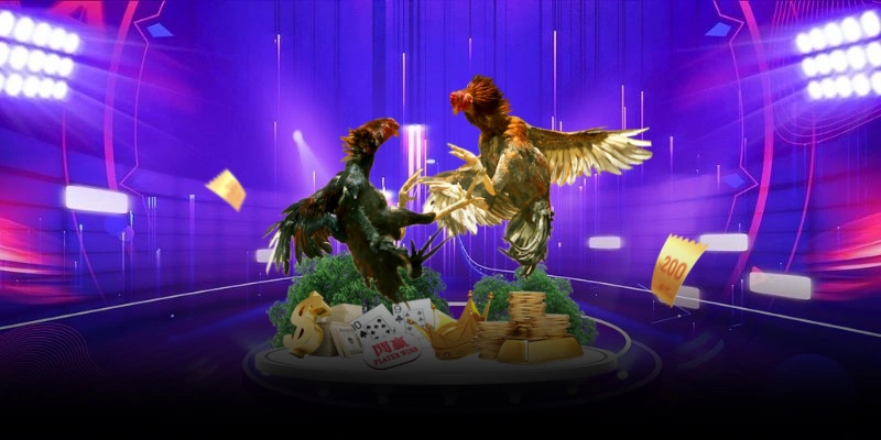 Giới thiệu đá gà online