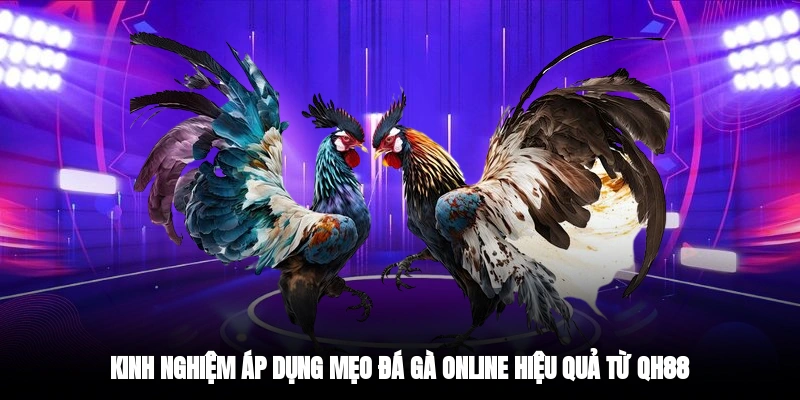 Kinh nghiệm áp dụng mẹo đá gà online hiệu quả từ QH88