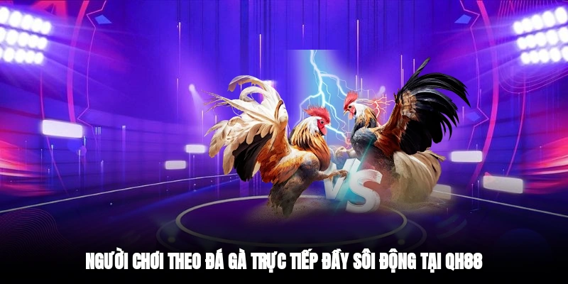Người chơi theo đá gà trực tiếp đầy sôi động tại QH88