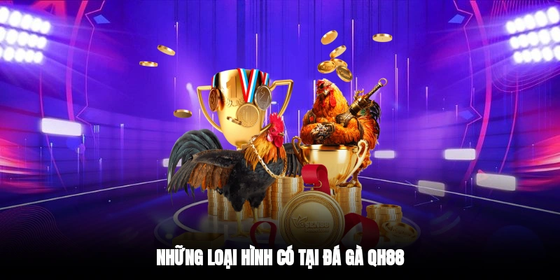 Những loại hình có tại đá gà QH88