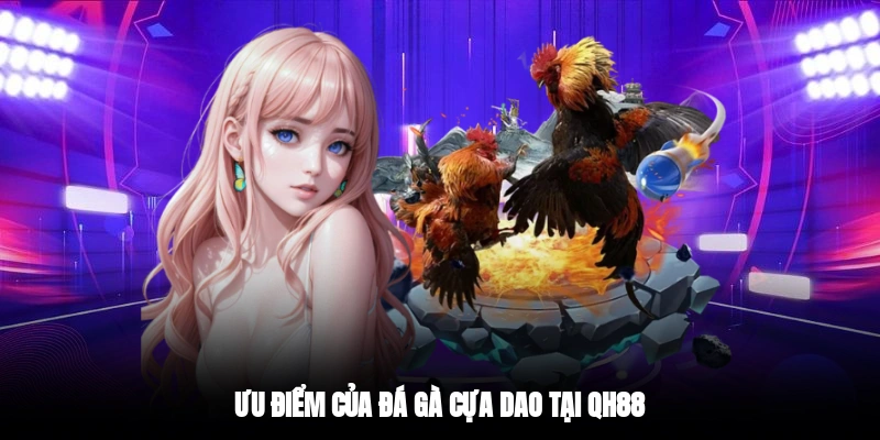Ưu điểm của đá gà cựa dao tại QH88