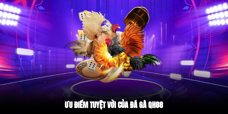 Ưu điểm tuyệt vời của đá gà QH88