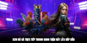 xem đá gà trực tiếp Thomo